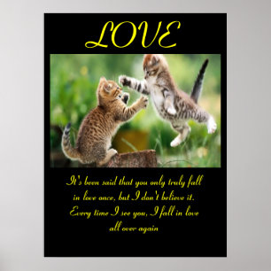 Grappig katten liefde citaat poster