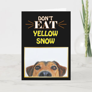 Grappig kerstfeest Dog eet geen geel sneeuwgaasje Kaart