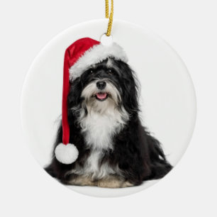 Grappig kerstfeest met Havanese hond met Santa Hat Keramisch Ornament
