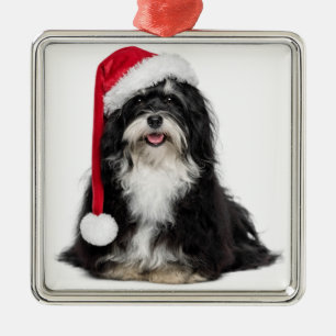 Grappig kerstfeest met Havanese hond met Santa Hat Metalen Ornament