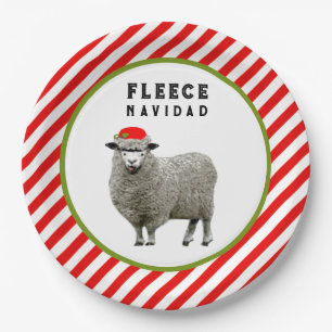 Grappig kerstfeest papieren bordje