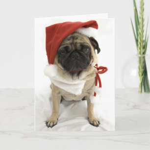 Grappig kerstkaartje - Puggy Feestdagen Kaart