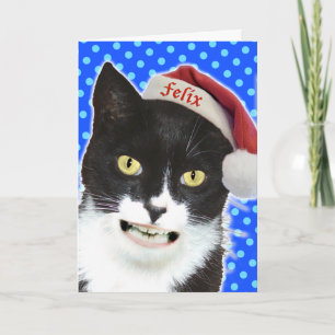 Grappig kerstkat-Wenskaart Feestdagen Kaart