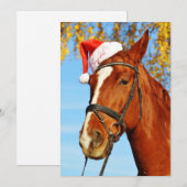 Grappig Kerstman Hoed Paard Kerstmis Feestdagenkaart (Voorkant / Achterkant)