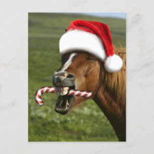 Grappig kerstpaard met kersthoed briefkaart