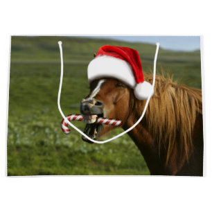 Grappig kerstpaard met kersthoed groot cadeauzakje