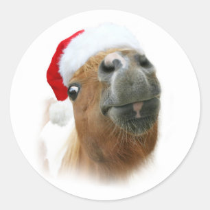 Grappig kerstpaard ronde sticker