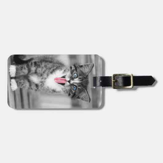 Grappig Kitten Bagagelabel (Voorkant horizontaal)