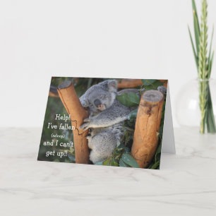 Grappig Koala Beer, Verlaat Verjaardag Kaart