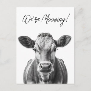 Grappig Koe dat we de aankondiging van Moving besp