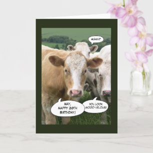 Grappig Koeien Happy Birthday voor haar 39ste oude Kaart