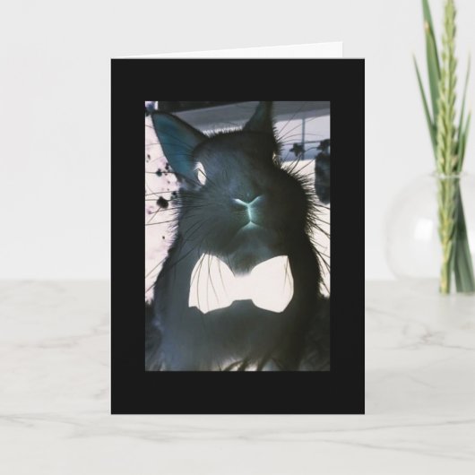 ***GRAPPIG KONIJN*** GRAPPIGE KAART **PAASGROETEN* (Voorkant)