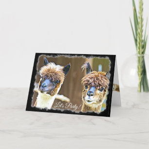 Grappig Let's Party Alpaca Verjaardag Kaart