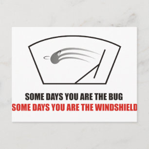 Grappig - Leven als bugs op een voorruit. Briefkaart