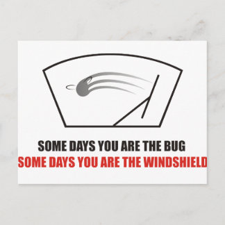Grappig - Leven als bugs op een voorruit. Briefkaart