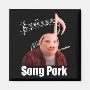 Grappig Lied Varkensmuzieknoot Varken Man Meme Dih Magneet