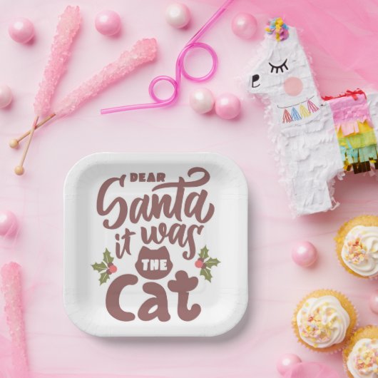 Grappig lieve kerstman, het was het kattenontwerp papieren bordje (Feest)