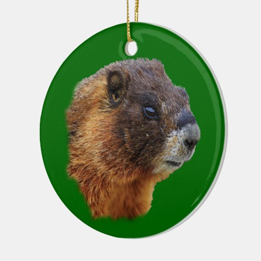 grappig marmot keramisch ornament (Links)