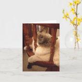 Grappig met een houding lappenpop kat kaart (Gele Bloem)