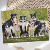 Grappig Modern Nieuw Adres Custom Pet Dog Foto