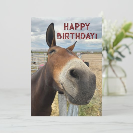 GRAPPIG Mule Verjaardag Dier Kaart Echt Oor (Staand voorkant)
