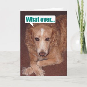 Grappig Mutt met Atitude Birthday Card Kaart