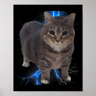 Grappig Oia Oia Spinning Cat Meme Cat Brainrot Poster