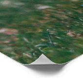 grappig onroerend goed dat je je volgende homepage poster (Hoek)