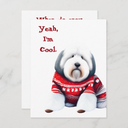 Grappig Oud Engels Sheepdog in Kersttrui Feestdagenkaart (Voorkant / Achterkant)