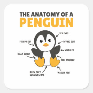 Grappig overzicht van een pinguïn in de anatomie vierkante sticker