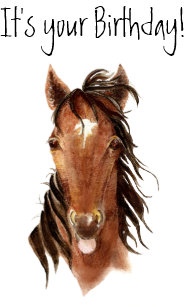 Paarden Humor Kaarten Zazzle Be