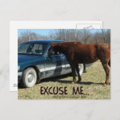 Grappig paard met auto Pardon Briefkaart (Voorkant / Achterkant)