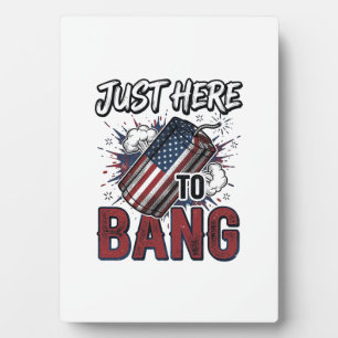 Grappig Patriotisch Vuurwerk Vintage 4 juli T-shir Fotoplaat