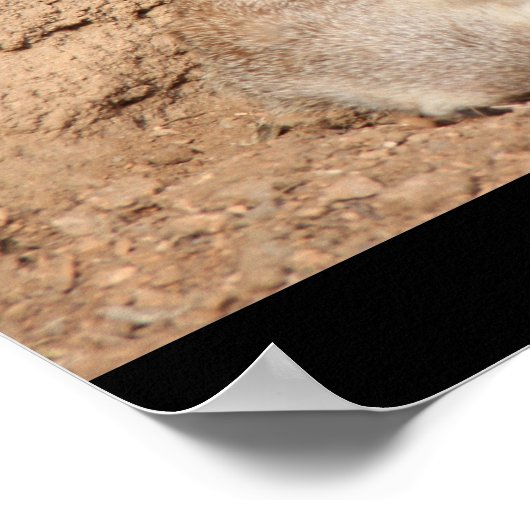 grappig poster, feestdier. poster (Hoek)