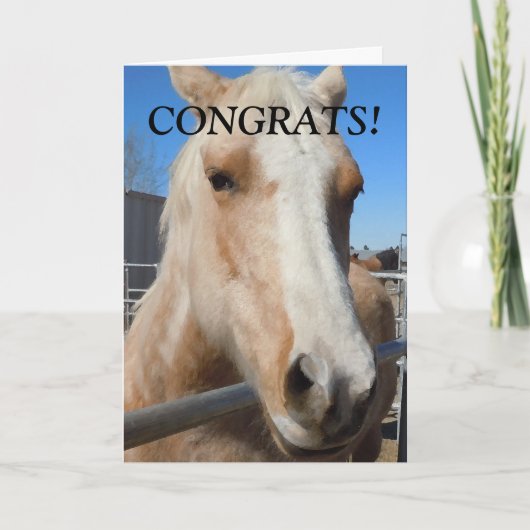 Grappig Professioneel Afstuderen Gefeliciteerd Paa Kaart (Voorkant)