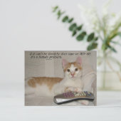 Grappig Quote Cat Briefkaart (Staand voorkant)