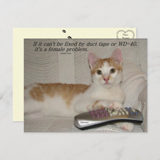 Grappig Quote Cat Briefkaart (Voorkant / Achterkant)