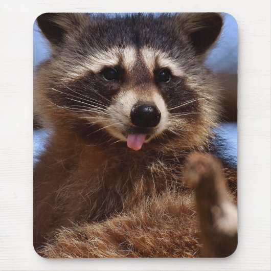 Grappig Raccoon die het uittikt is Tongue Muismat (Voorkant)