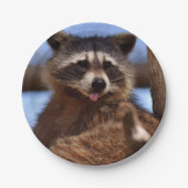 Grappig Raccoon die het uittikt is Tongue Papieren Bordje (Voorkant)