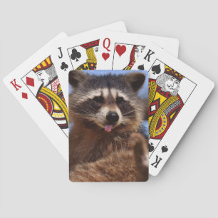 Grappig Raccoon die het uittikt is Tongue Speelkaarten