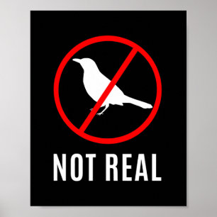 Grappig samenzwering Theoretische vogels zijn een Poster