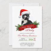 Grappig Sarcastisch Kat Santas Pet Kerstfeest Kaart (Voorkant)