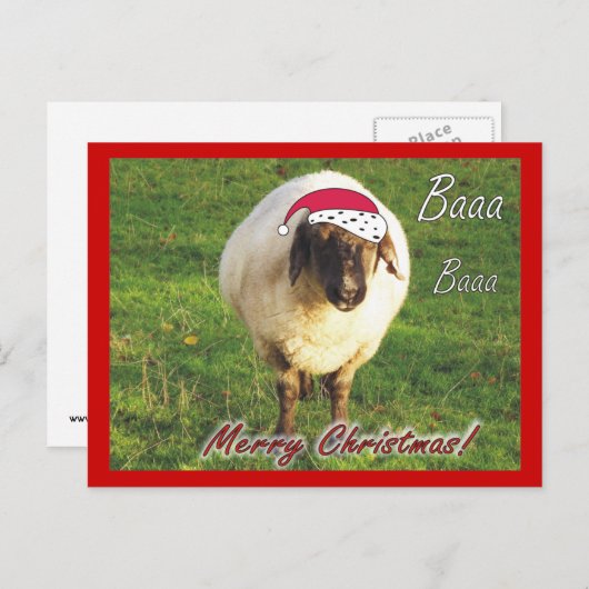 Grappig Schaap Kerst Briefkaart (Voorkant / Achterkant)