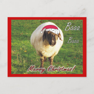 Grappig Schaap Kerst Briefkaart