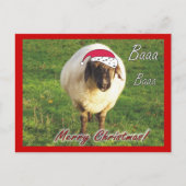 Grappig Schaap Kerst Briefkaart (Voorkant)