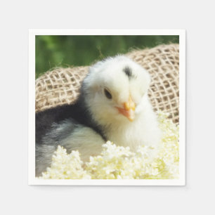 Grappig schattig boerderij van kippen iPad Pro Hoe Servet