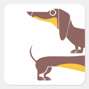 Grappig schattig teckel voor lange hond ouder vierkante sticker