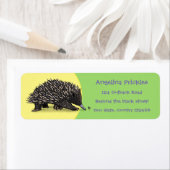 Grappig schattige echidna met bijencartoon etiket (Insitu)