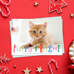 Grappig Schattige Furry & Bright Dog Cat Pet Foto Feestdagenkaart