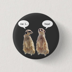 Grappig, schattige kistjes in gesprek ronde button 3,2 cm